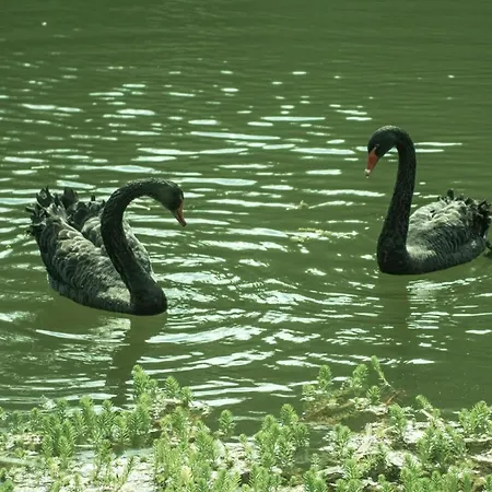 Chateau De Valette לינה וארוחת בוקר