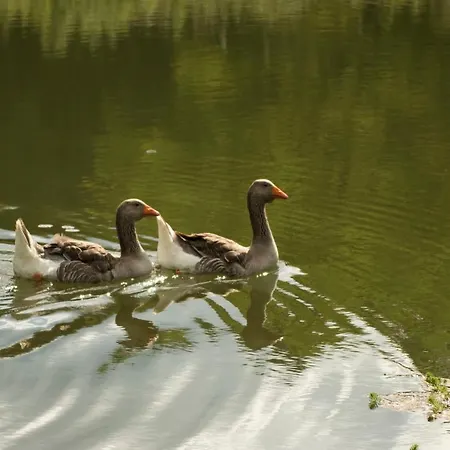 Chateau De Valette La Bachellerie