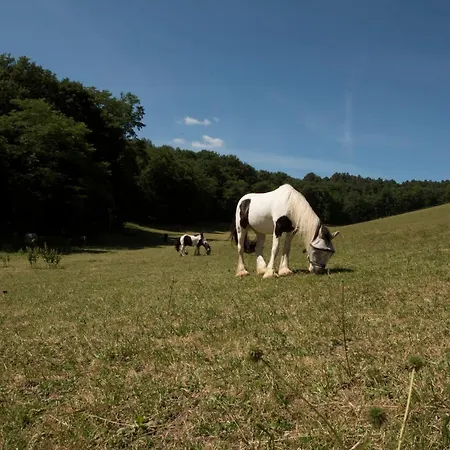 לינה וארוחת בוקר Chateau De Valette La Bachellerie