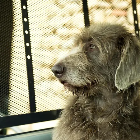 Chateau De Valette 4* La Bachellerie