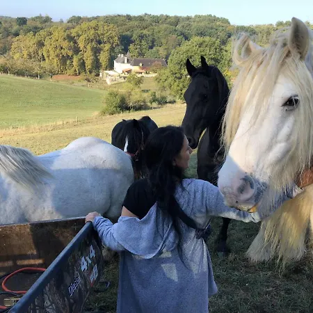 B&B Chateau De Valette