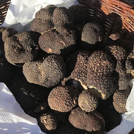 Chateau De Valette לינה וארוחת בוקר La Bachellerie