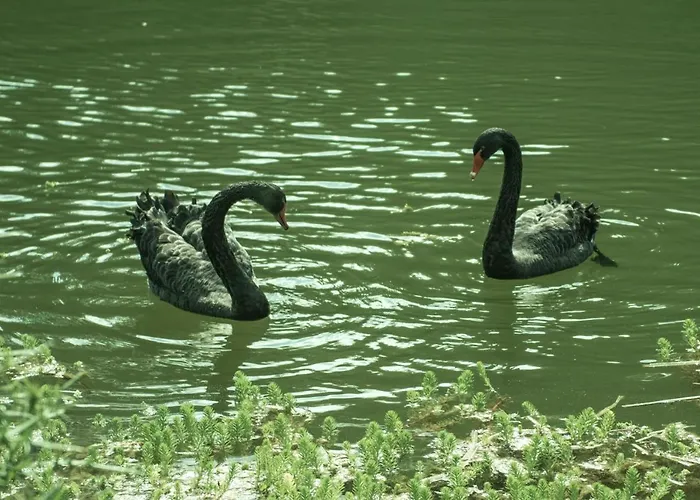 Chateau De Valette 住宿加早餐酒店