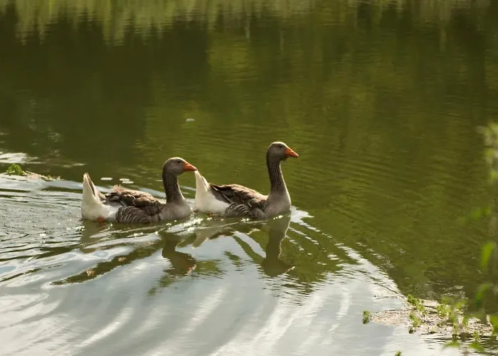 Chateau De Valette La Bachellerie