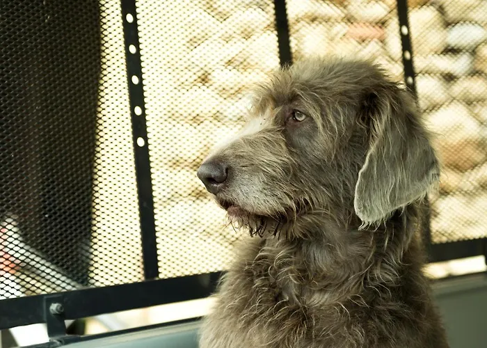 Chateau De Valette 4* La Bachellerie