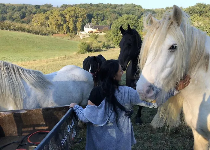 Bed & Breakfast Chateau De Valette