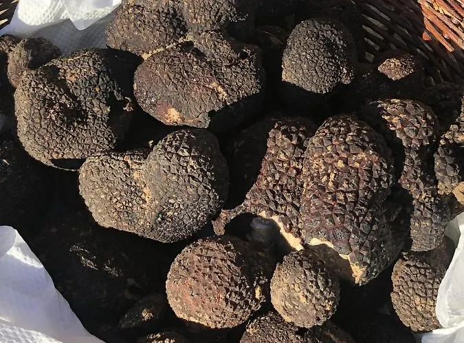 Chateau De Valette 住宿加早餐酒店 La Bachellerie